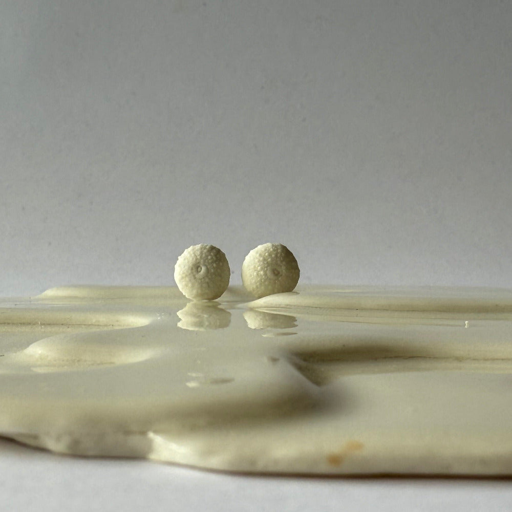 Mini Porcelain Sea Urchin Earrings – Coastal Keepsakes