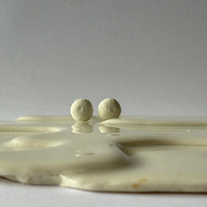 Mini Porcelain Sea Urchin Earrings – Coastal Keepsakes