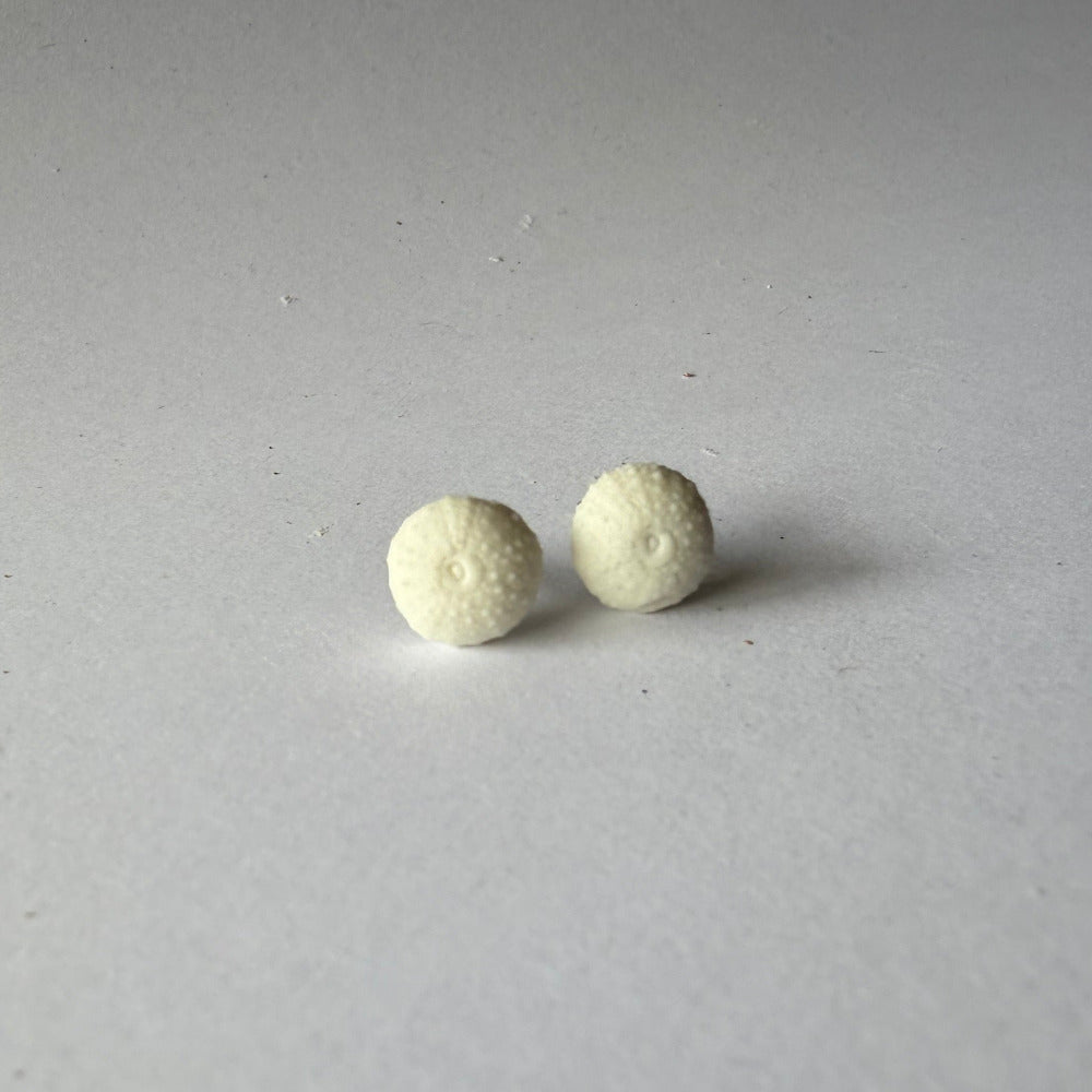 Mini Porcelain Sea Urchin Earrings – Coastal Keepsakes
