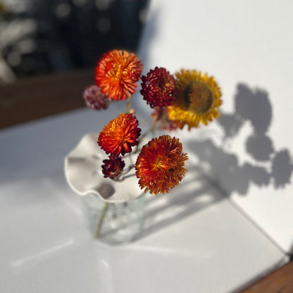 Porcelain frog, porcelain flower frog, porcelain vase topper, propagation tool. 