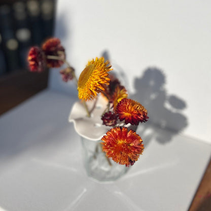Porcelain frog, porcelain flower frog, porcelain vase topper, propagation tool. 