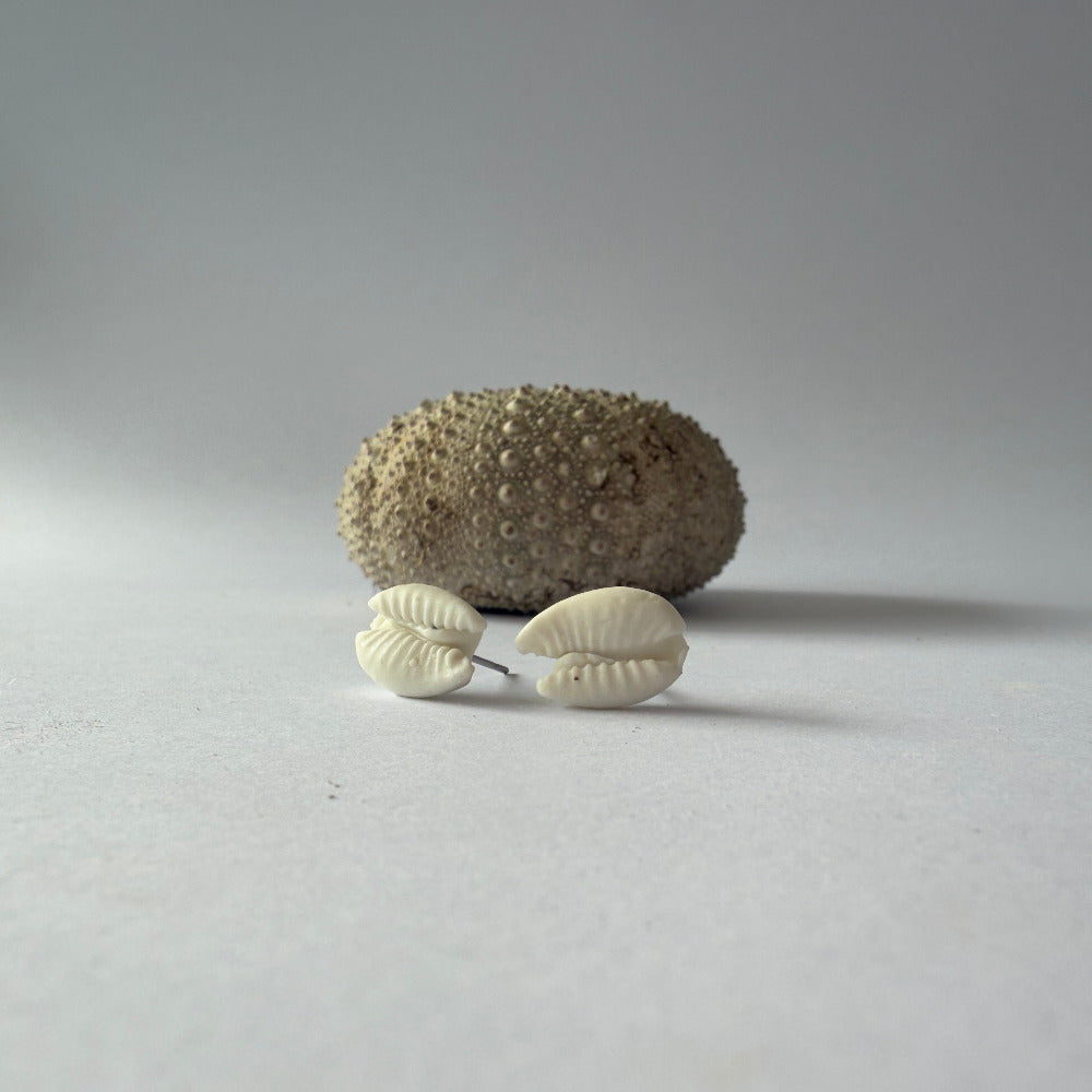 Cowrie shell porcelain earrings with organic detail and soft coastal tones, handmade in Phillip Island.