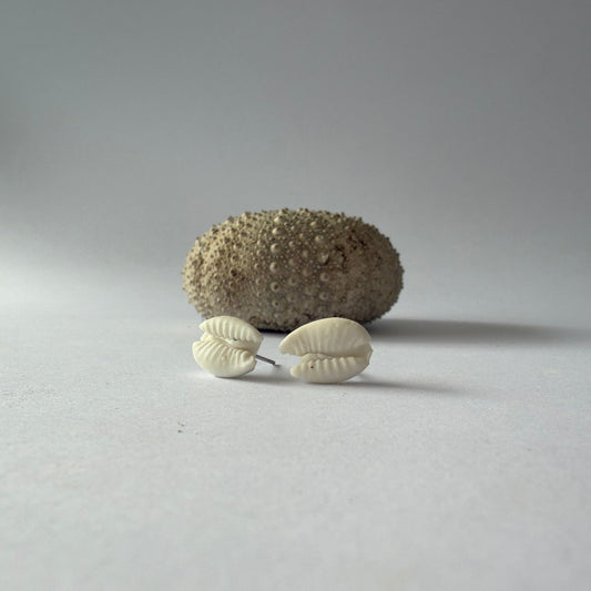 Cowrie shell porcelain earrings with organic detail and soft coastal tones, handmade in Phillip Island.