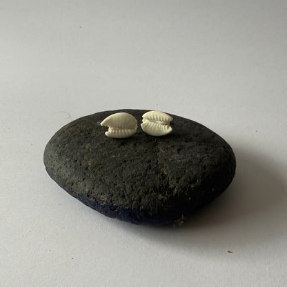 Small porcelain cowrie studs inspired by Australian beaches, handcrafted by Fields and Seas.