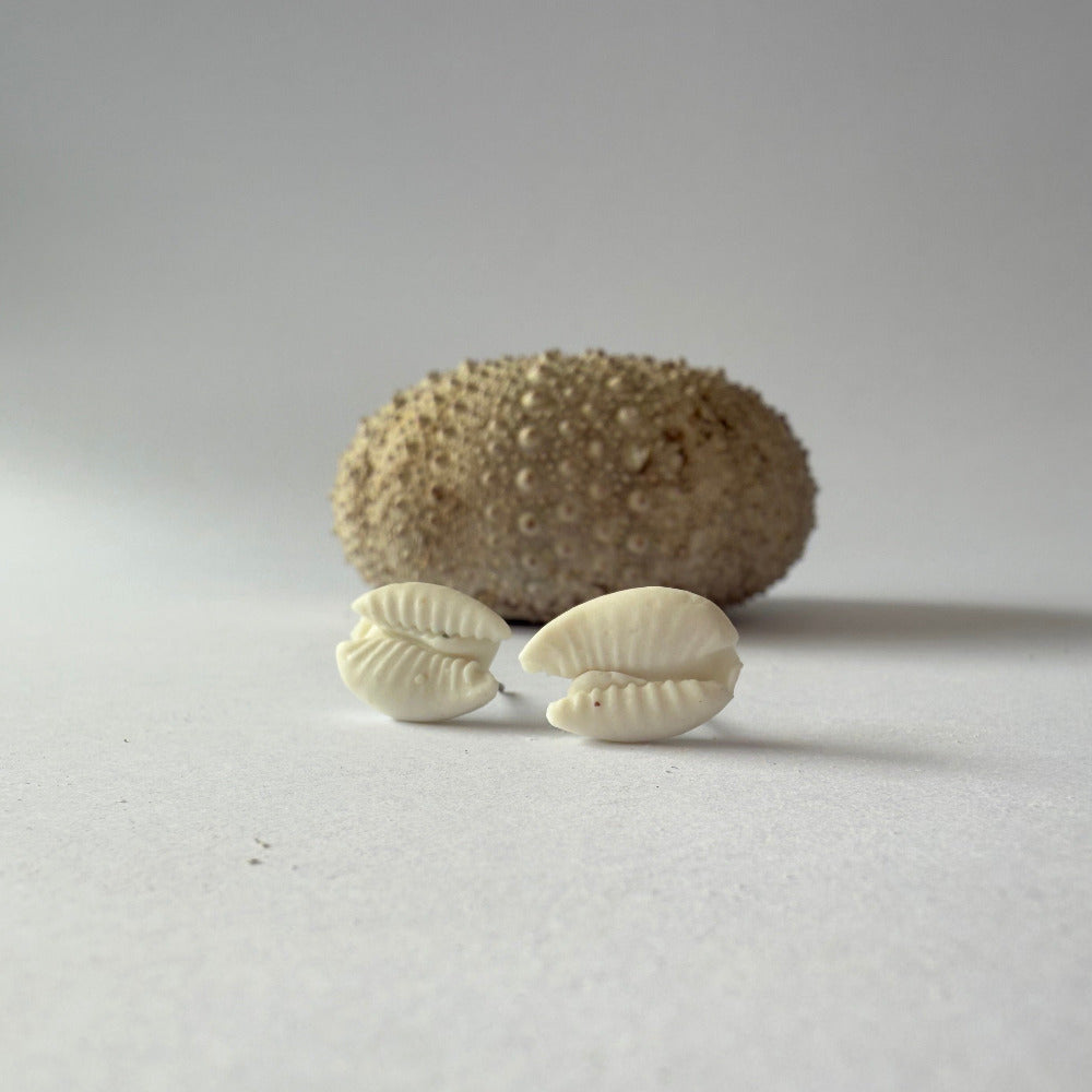 Cowrie shell porcelain earrings with organic detail and soft coastal tones, handmade in Phillip Island.