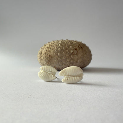 Cowrie shell porcelain earrings with organic detail and soft coastal tones, handmade in Phillip Island.