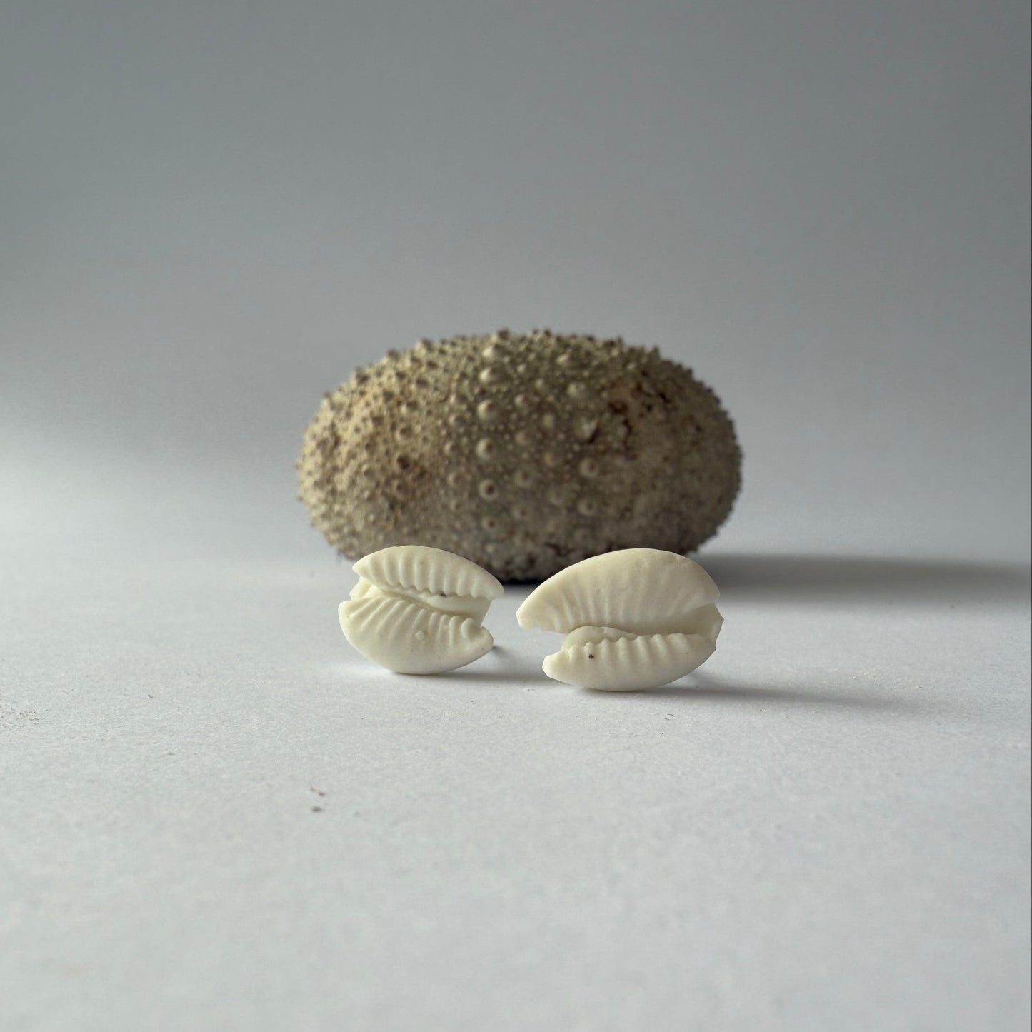 Cowrie shell porcelain earrings with organic detail and soft coastal tones, handmade in Phillip Island.