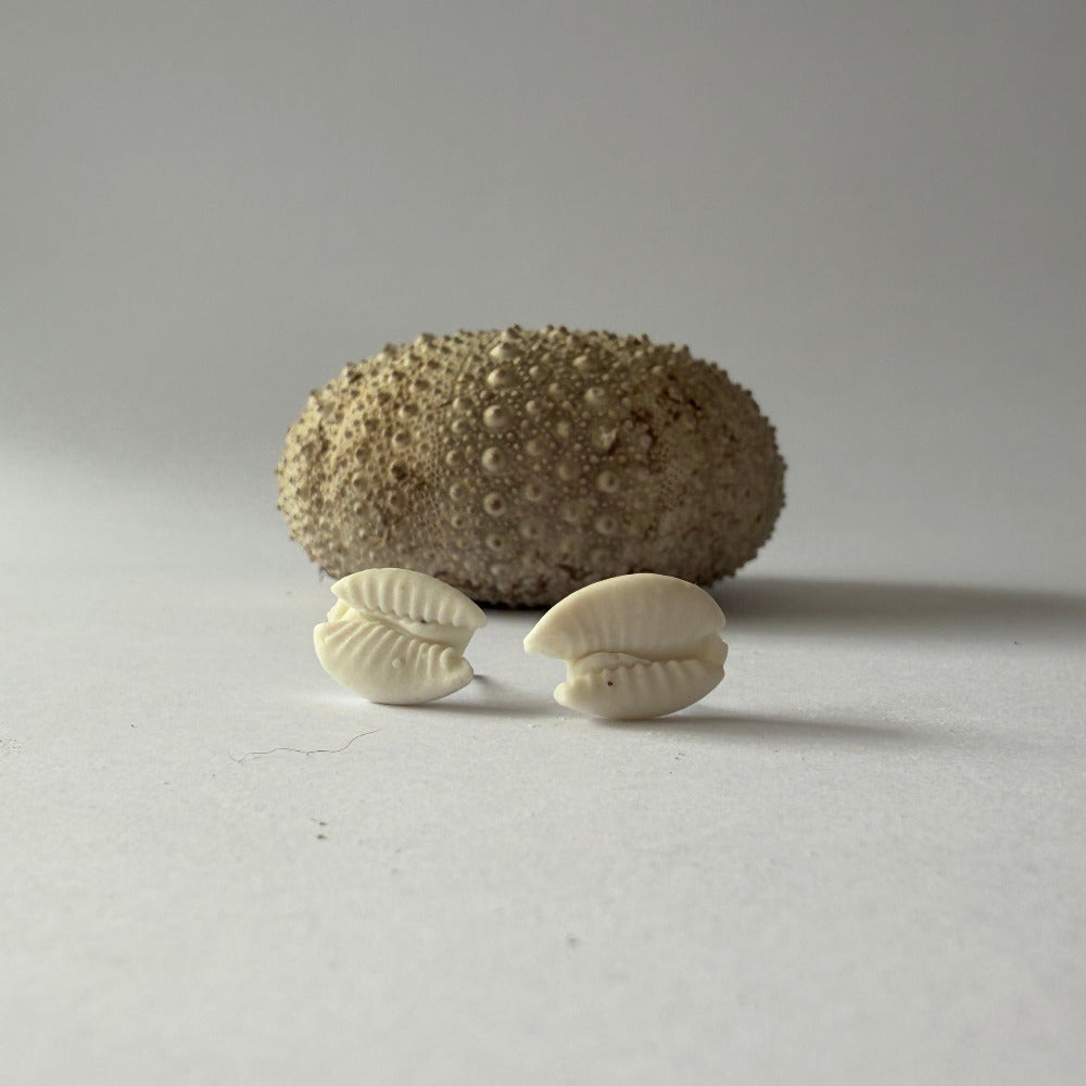 Small porcelain cowrie studs inspired by Australian beaches, handcrafted by Fields and Seas.