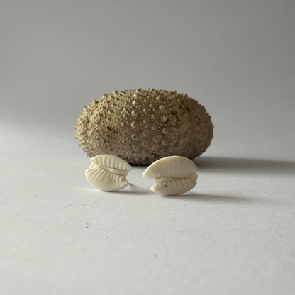 Small porcelain cowrie studs inspired by Australian beaches, handcrafted by Fields and Seas.