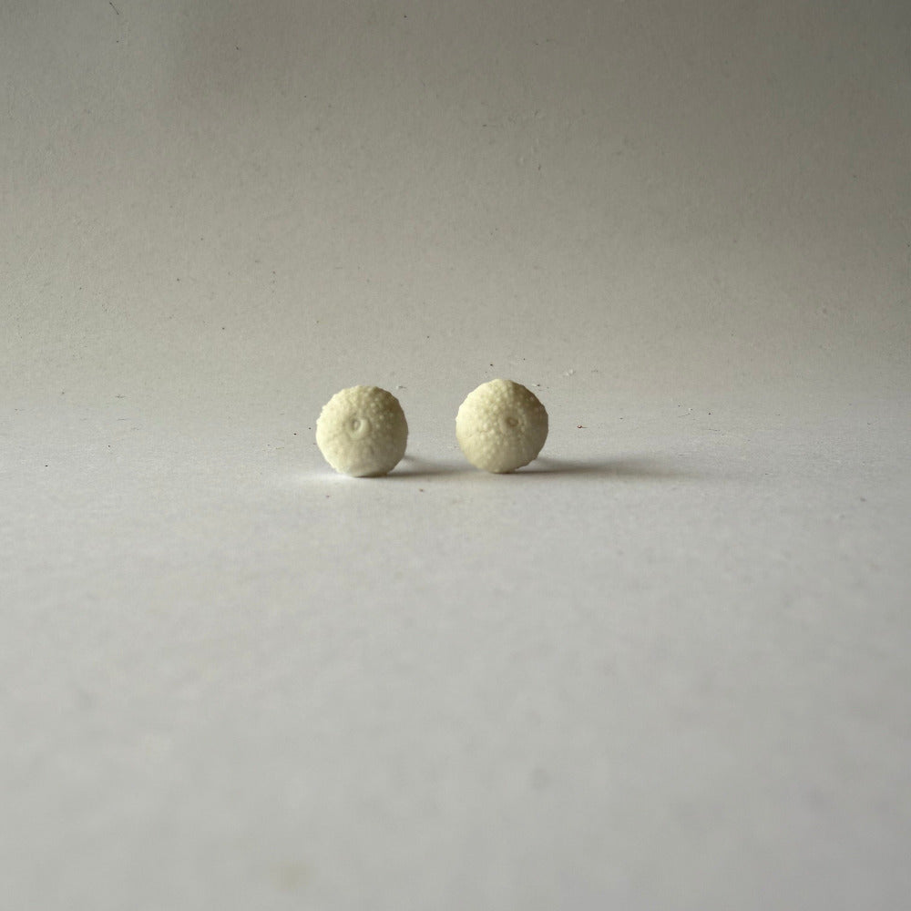 Mini Porcelain Sea Urchin Earrings – Coastal Keepsakes