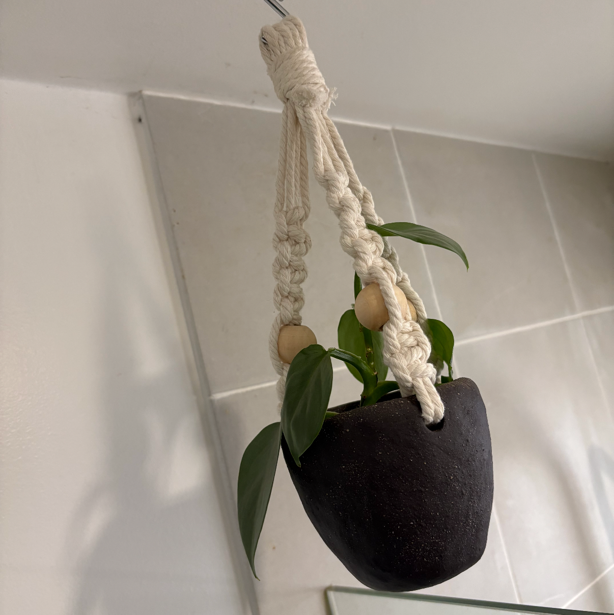 Handmade ceramic planter with macramé hanger created at Fields and Seas clay workshop in Ventnor, Phillip Island